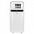 Мобильный кондиционер Electrolux EACM-20 JK/N3 Ice Column в Мариуполе